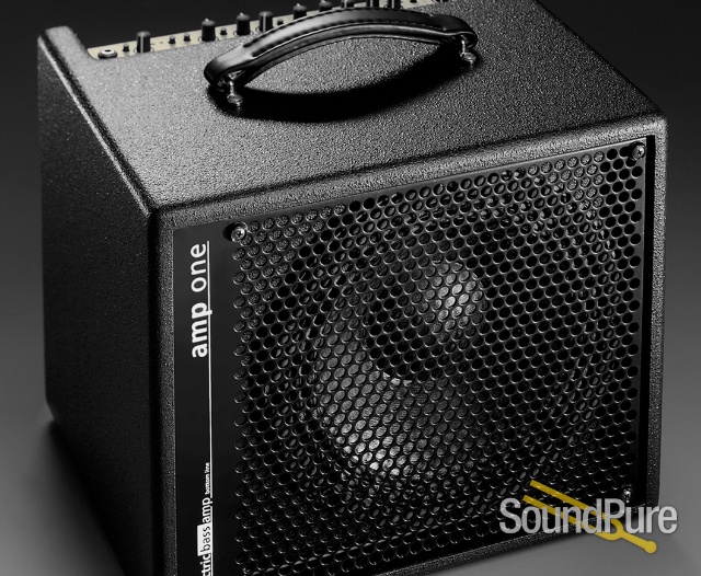 AER Amp One Bass Amplifier Combo