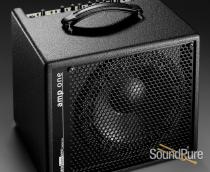 AER Amp One Bass Amplifier Combo AER Amp One Bass Amplifier Combo