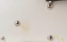 24456-rivera-venus-3-guitar-1x12-combo-amplifier-used-16f25251bbc-4e.jpg