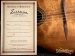 25012-eastman-dm1-classic-gypsy-jazz-acoustic-guitar-16956385-171d6f945d8-12.jpg