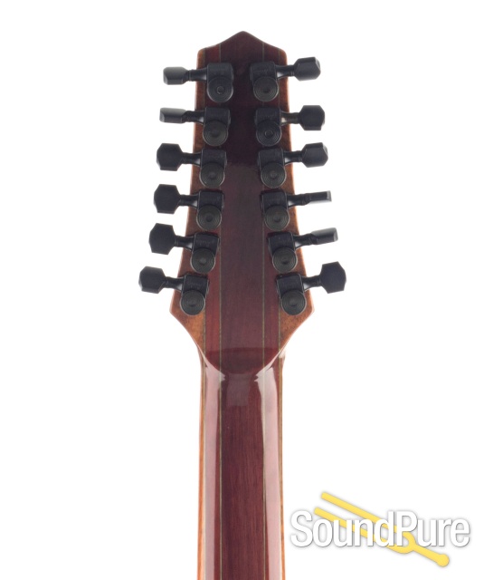 Buscarino Starlight 12-String Acoustic Electric - Used — image 6