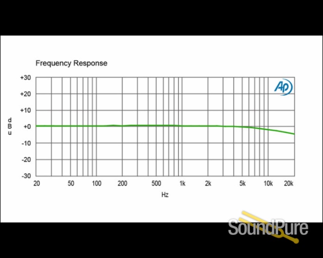 Radial Engineering X-AMP-LB Guitar Signal Reamper 