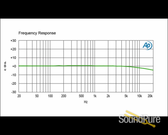 Radial Engineering X-AMP-LB 500 Series Re-Amp Module — image 4