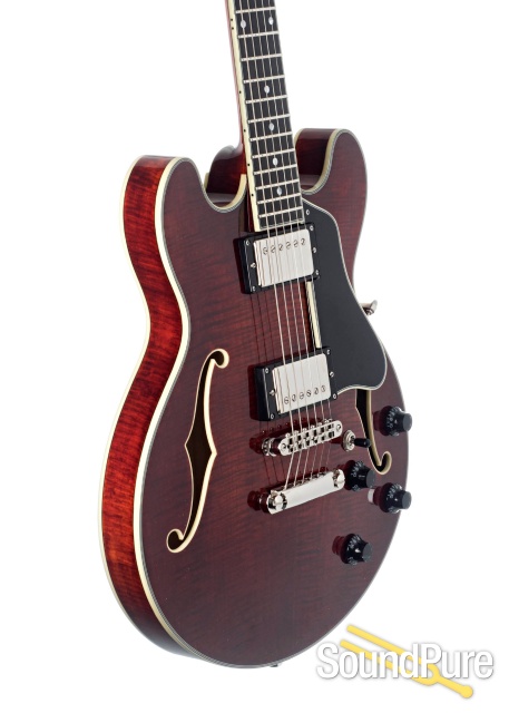Eastman T-484 Semi-Hollow Electric Guitar #P2000195 — image 3