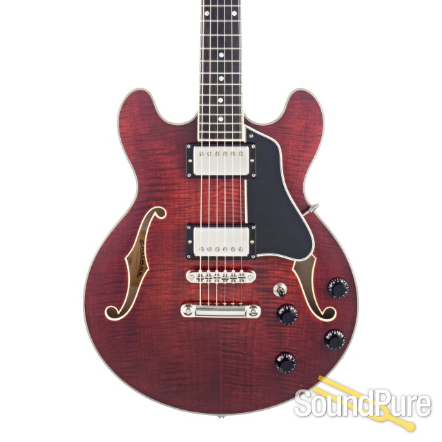 Eastman T-484 Semi-Hollow Electric Guitar #P2000195 — image 1