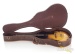 26123-gibson-1961-es-125t-archtop-electric-guitar-27218-used-175573f634e-3d.jpg
