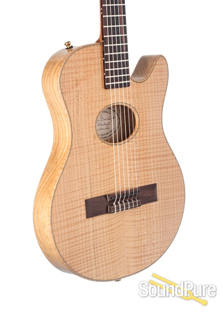 Buscarino Starlight Nylon Acoustic/Electric #6115 - Used — image 3