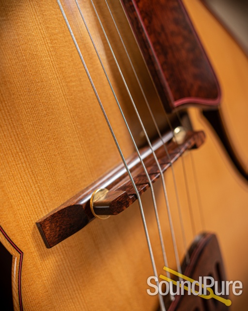 Buscarino 25th Anniversary Virtuoso Archtop Guitar - Used — image 6