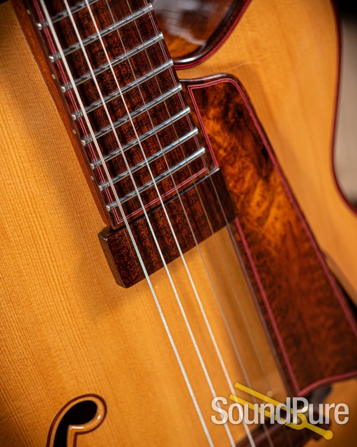 Buscarino 25th Anniversary Virtuoso Archtop Guitar - Used — image 7