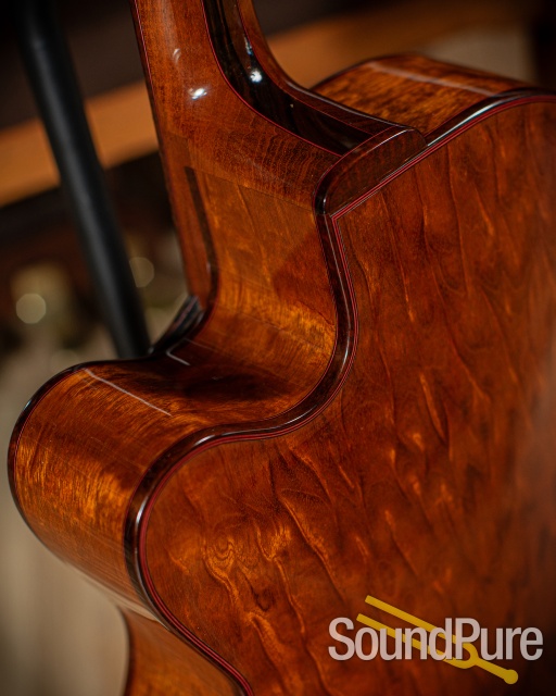 Buscarino 25th Anniversary Virtuoso Archtop Guitar - Used — image 9