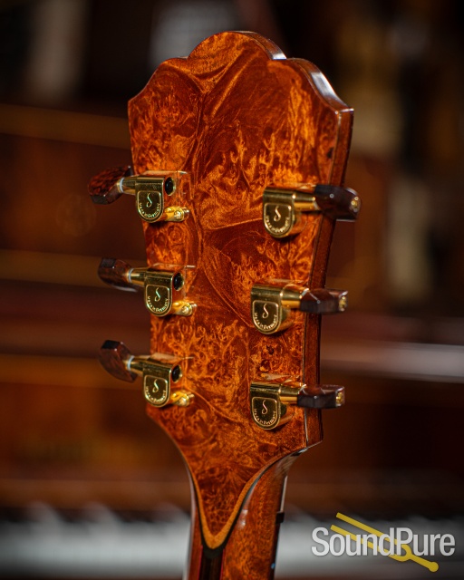 Buscarino 25th Anniversary Virtuoso Archtop Guitar - Used — image 12