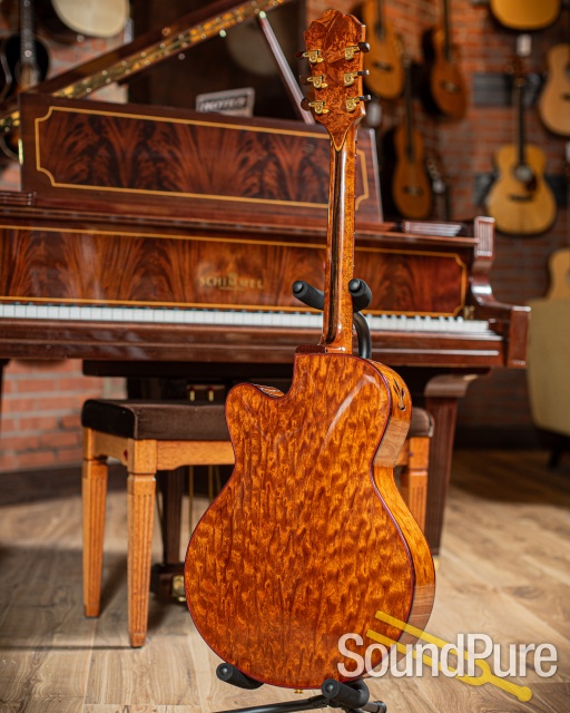 Buscarino 25th Anniversary Virtuoso Archtop Guitar - Used — image 14