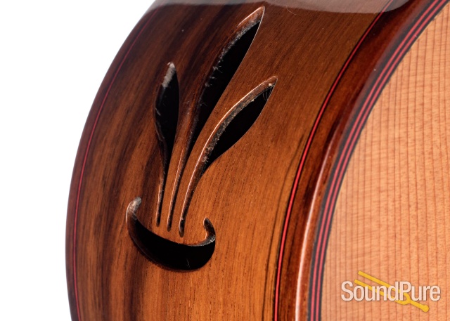 Buscarino Virtuoso 7-String Archtop #CAP1069904 - Used — image 2