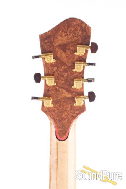 Buscarino Virtuoso 7-String Archtop #CAP1069904 - Used — image 10
