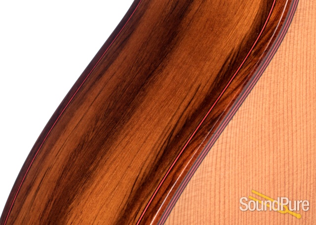 Buscarino Virtuoso 7-String Archtop #CAP1069904 - Used — image 15