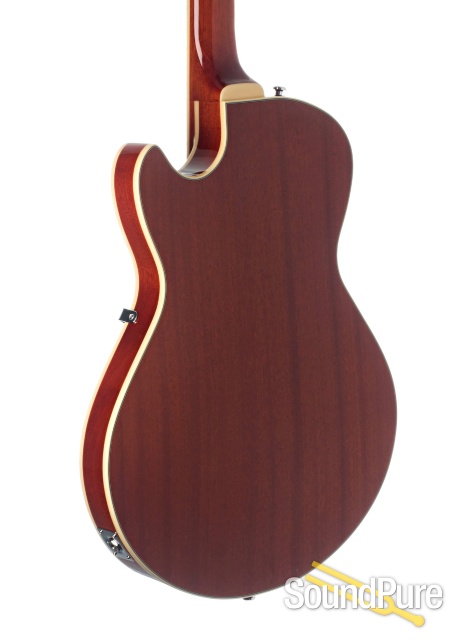Comins GCS-1 Autumn Burst Semi-Hollow Electric #112345 — image 2