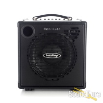 Henriksen JazzAmp Ten Guitar Combo Amplifier - Used Henriksen JazzAmp Ten Guitar Combo Amplifier - Used