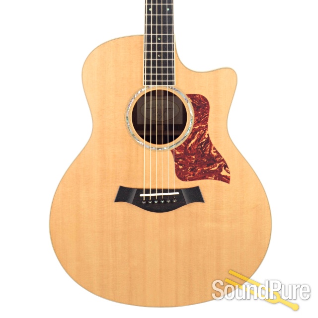 Taylor Custom GS Sitka/Indian Rosewood #20070801123 - Used — image 1