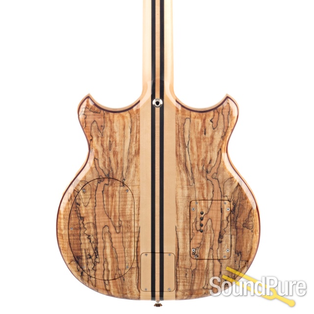 Alembic Series I Spalted Maple w/GK Synth #0713763 - Used — image 7