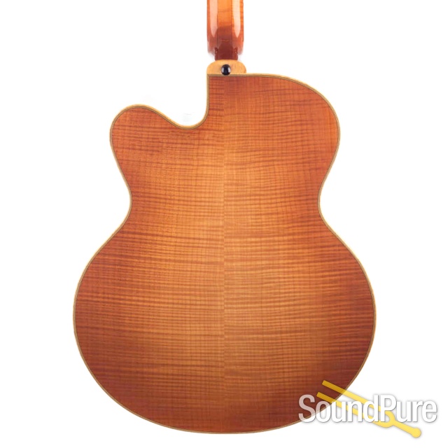 Buscarino Virtuoso Archtop Guitar #GL05109312 - Used — image 7
