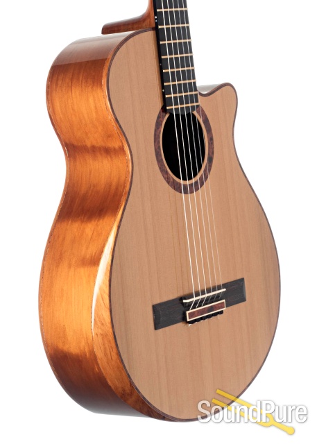 L.J. Williams Tui Model Tanekaha/Kauri Guitar #11154 - Used — image 3