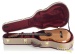28546-l-j-williams-kiwi-model-acoustic-guitar-11154-used-17bcaf3027c-e.jpg