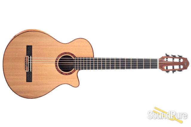 L.J. Williams Tui Model Tanekaha/Kauri Guitar #11154 - Used — image 8