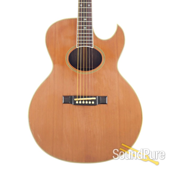Washburn Tanglewood Acoustic Guitar #83052 - Used