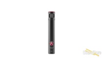 Austrian Audio CC8 SDC Microphone Austrian Audio CC8 SDC Microphone