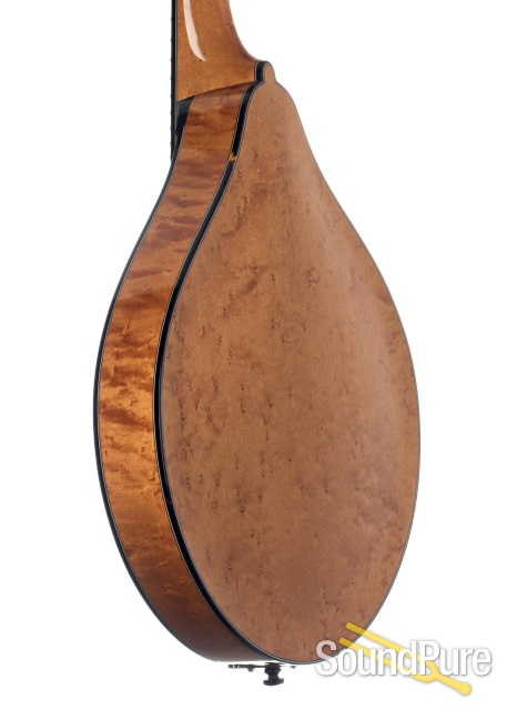 Collings MT2 Adirondack/Maple A-Style Mandolin #3976 - Used — image 2