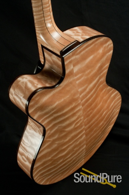 Tom Bills Natura Deluxe 16" Archtop Guitar — image 5