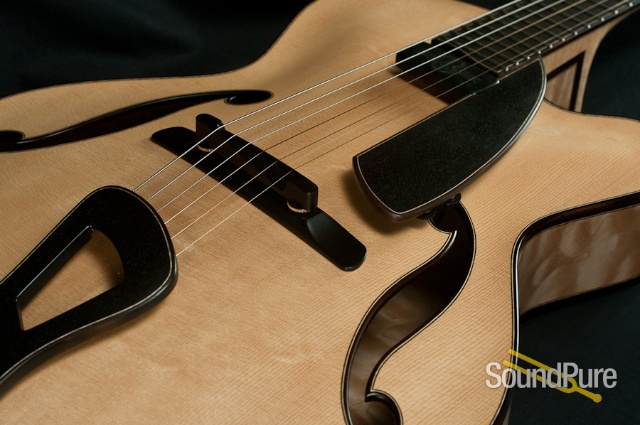 Tom Bills Natura Deluxe 16" Archtop Guitar — image 19