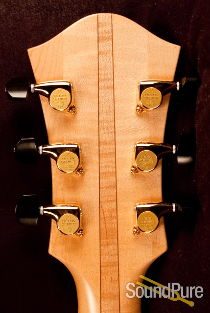 Buscarino Artisan SP05105310 Archtop Guitar - USED - MINT! — image 3