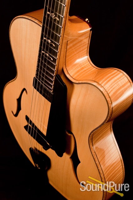 Buscarino Artisan SP05105310 Archtop Guitar - USED - MINT! — image 1