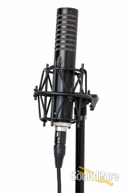 Royer Labs R-101 Ribbon Microphone | Soundpure.com