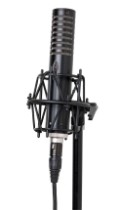 Royer Labs R-101 Ribbon Microphone Royer Labs R-101 Ribbon Microphone