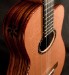 3050-Buscarino_Grand_Cabaret_Englemann_Spruce_Macassar_Ebony-1307ba1c934-6.jpg
