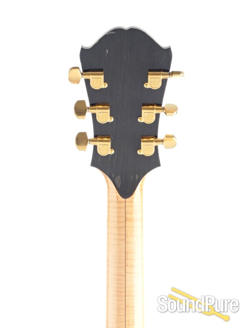 Trenier Excel Archtop Electric Guitar #1078 - Used — image 6