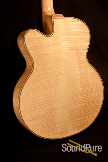 Buscarino Virtuoso T10465403 Archtop Guitar - MINT! — image 3