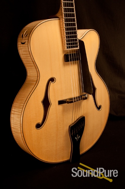 Buscarino Virtuoso T10465403 Archtop Guitar - MINT! — image 8