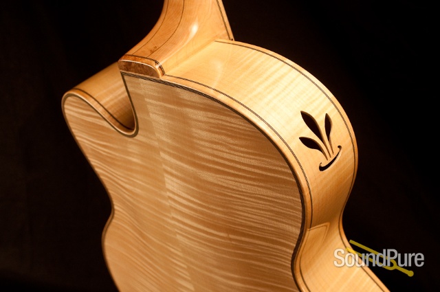 Buscarino Virtuoso T10465403 Archtop Guitar - MINT! — image 9