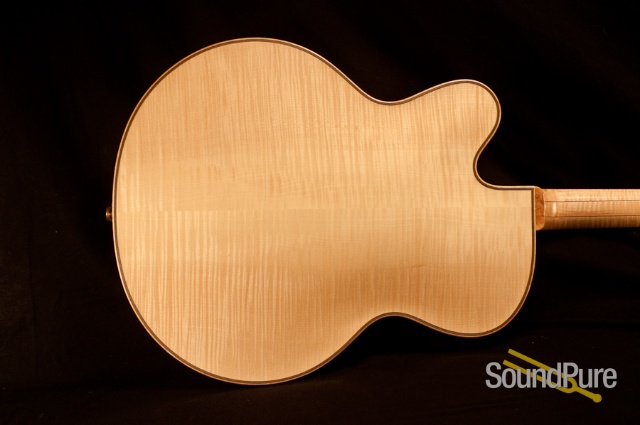 Buscarino Virtuoso T10465403 Archtop Guitar - MINT! — image 11