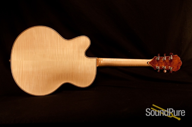 Buscarino Virtuoso T10465403 Archtop Guitar - MINT! — image 14