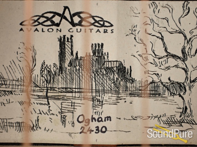 Avalon Special Edition "Ogham" Alpine/Bog Oak #002430 - Used — image 2