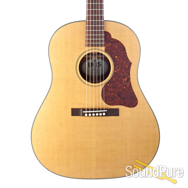 Iris DF Sitka/Mahogany Acoustic Guitar #410 — image 1