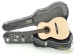 31676-goodall-eir-crossover-nylon-string-acoustic-guitar-rx7004-18319a786a5-2d.jpg
