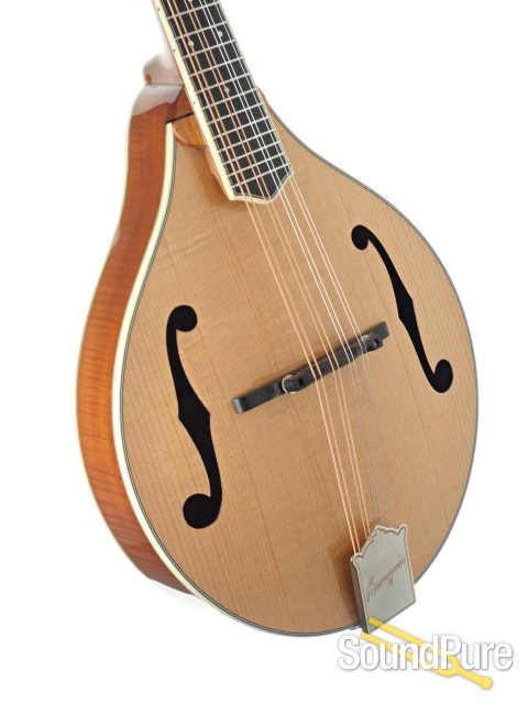 Bourgeois M5A Mandolin #M2209012 — image 3
