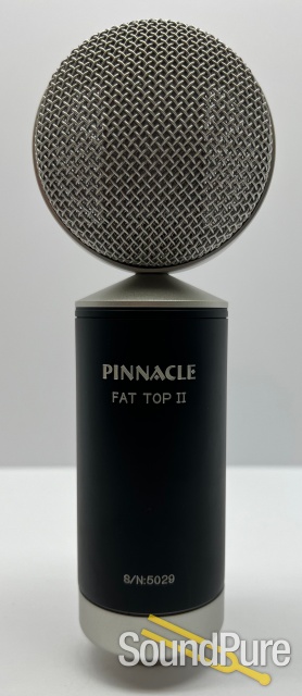 Pinnacle Fat Top II Black w/ Lundahl Deluxe Stereo Pair — image 2