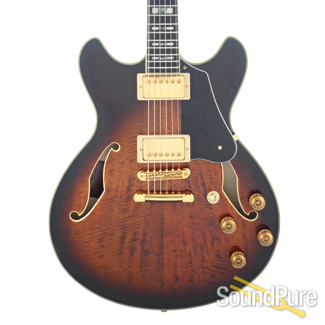 Ibanez John Scofield JSM100 Guitar #F2201320 - Used — image 1