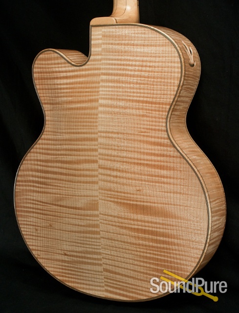 Buscarino Artisan Archtop Guitar - NEAR MINT! — image 10